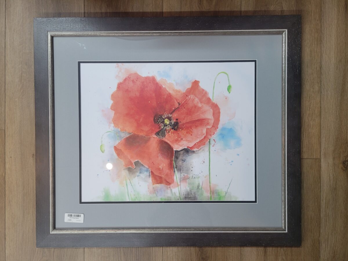 Frame 26x22 Large Bold Poppy #1015643