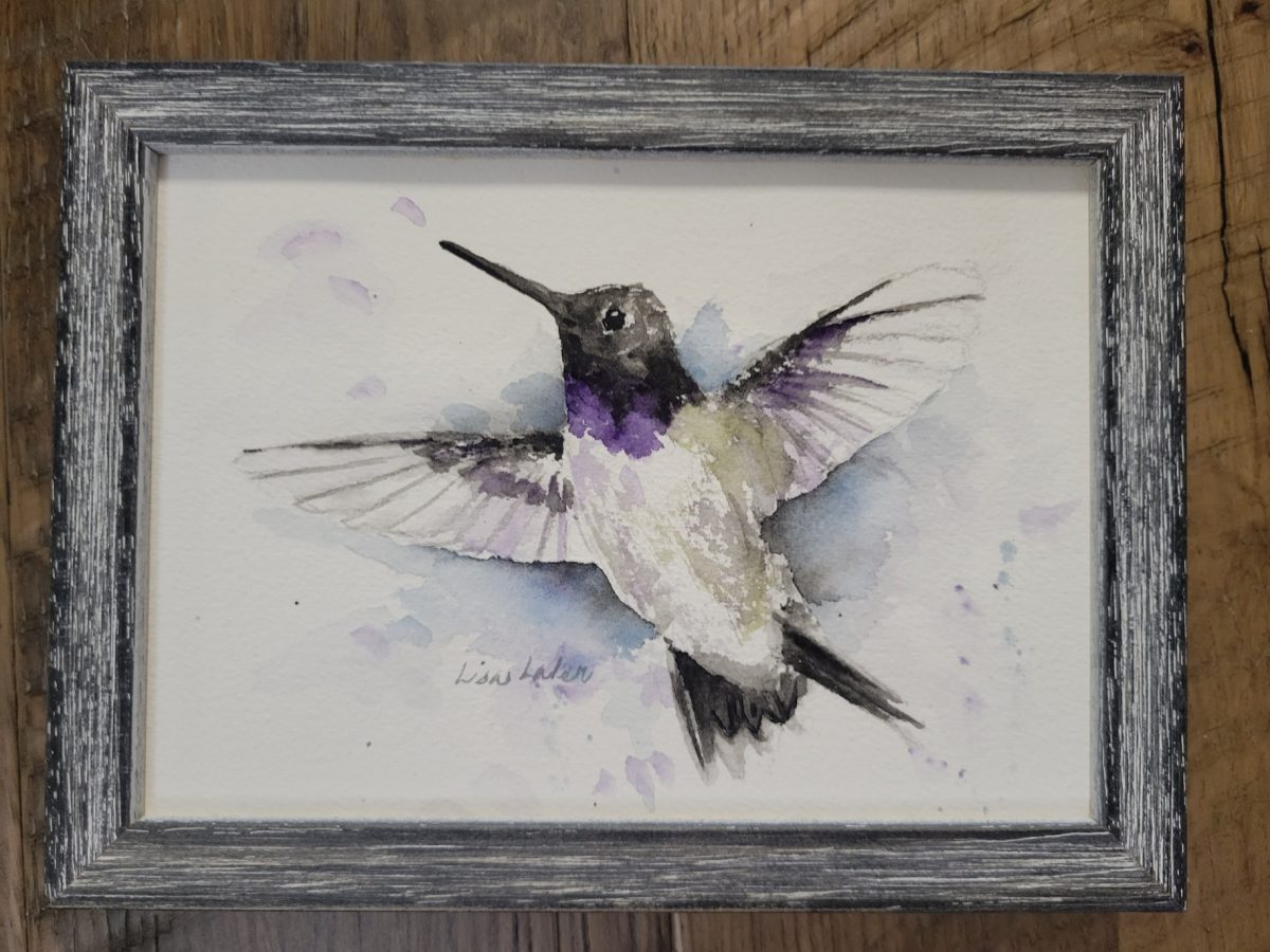 ORIGINAL Black-Chinned Hummingbird Framed