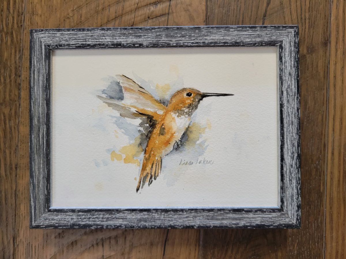 ORIGINAL Rufous Hummingbird Original Framed