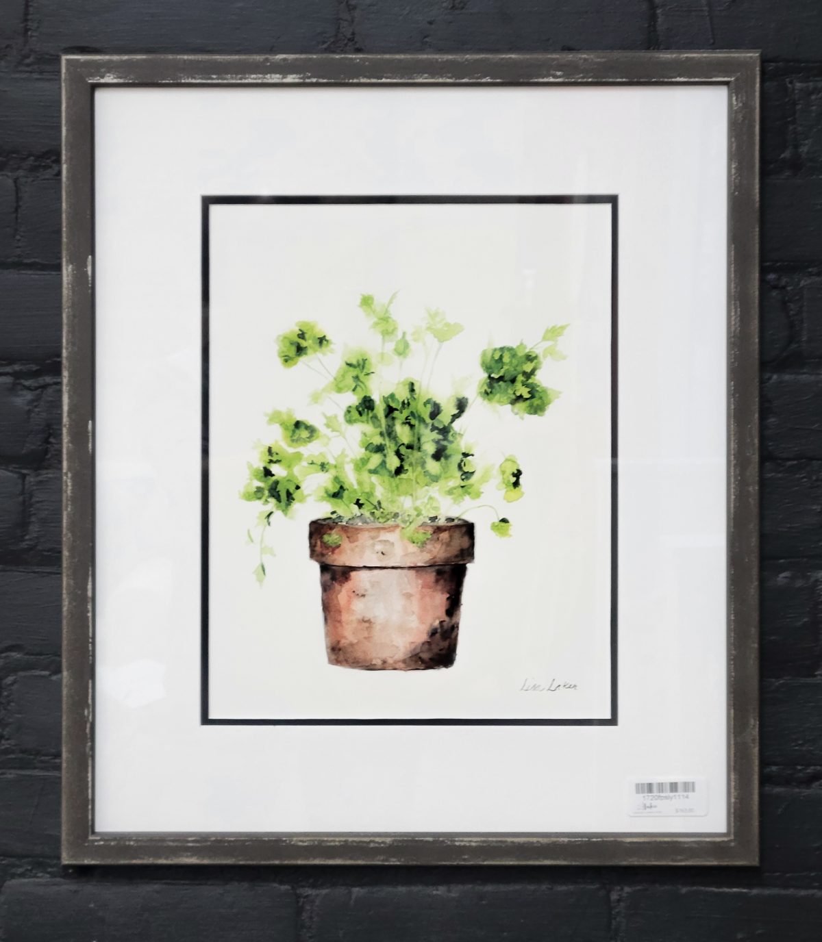 Framed Potted Parsley Print