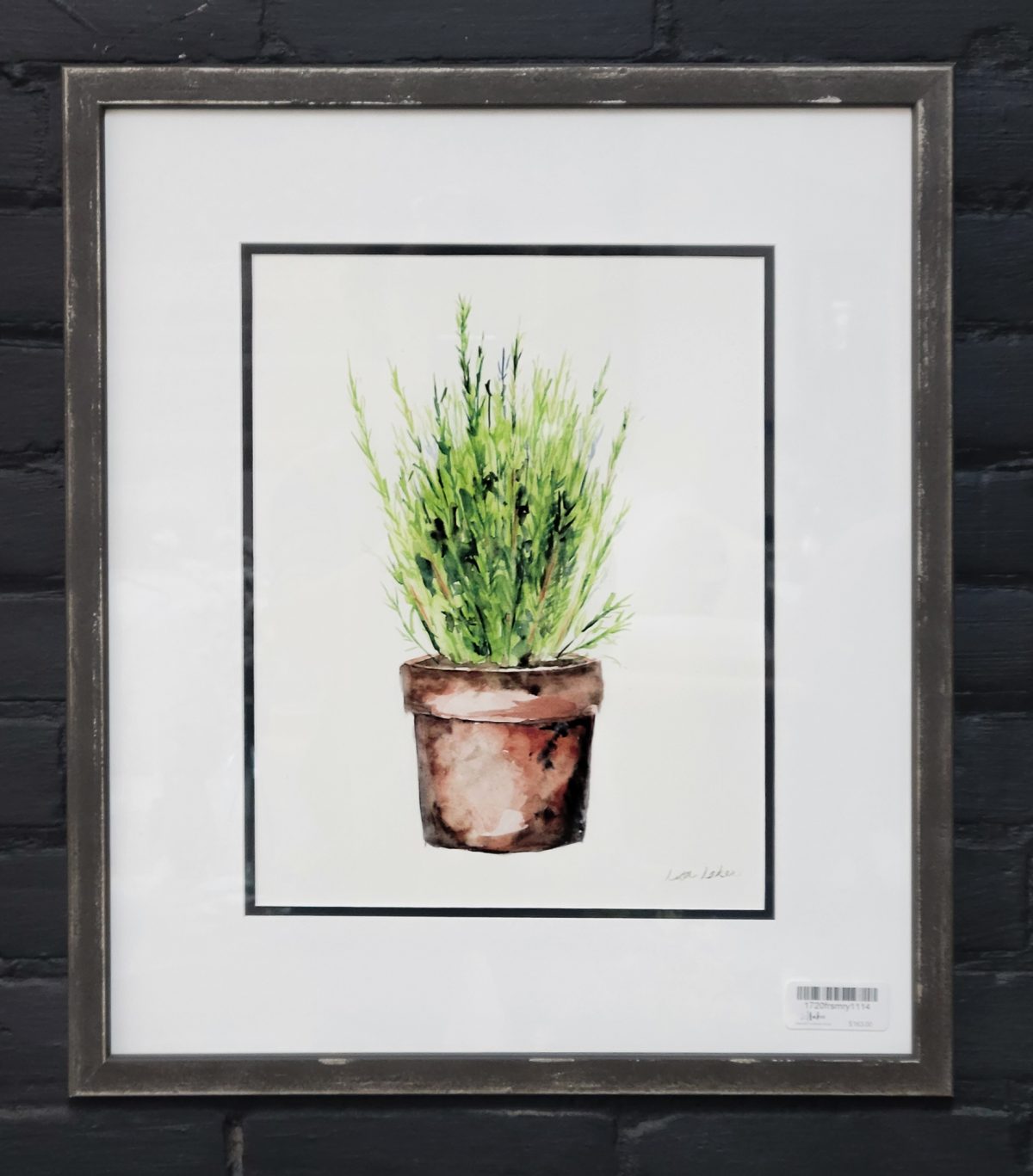 Framed Potted Rosemary Print