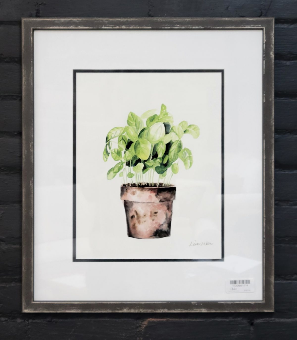 Framed Potted Basil Print