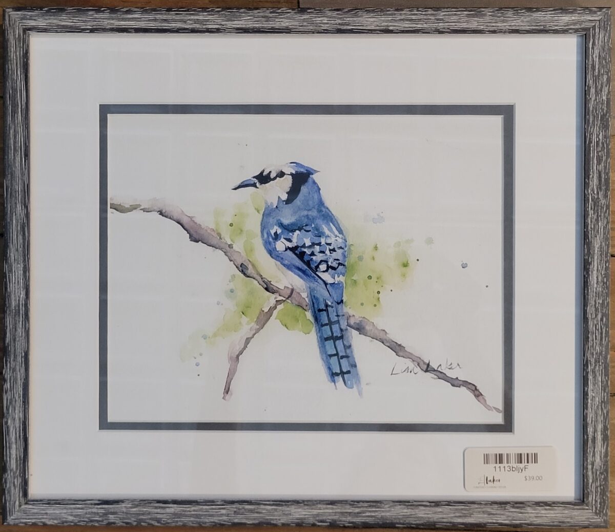 Framed Blue Jay Print