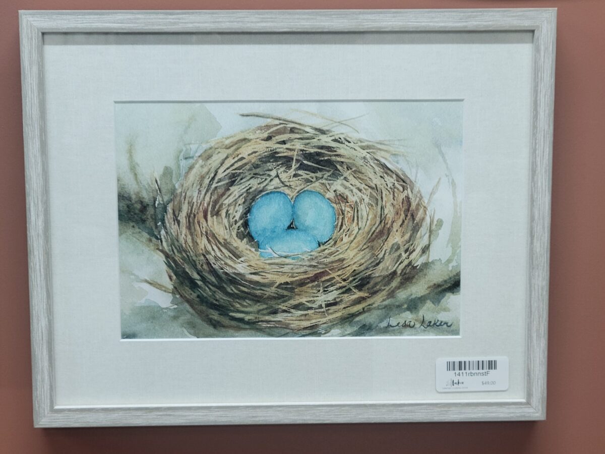 Framed robin nest