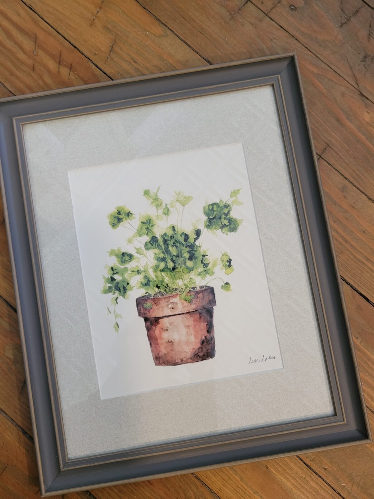 Framed Potted Parsley